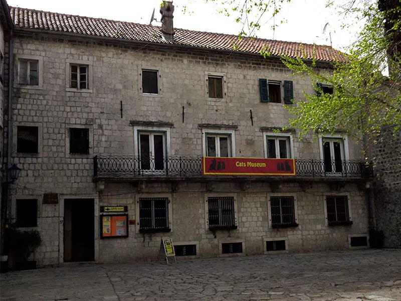 Kotors Kattemuseum, Dubrovnik