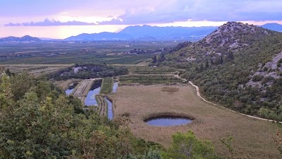 Ploče